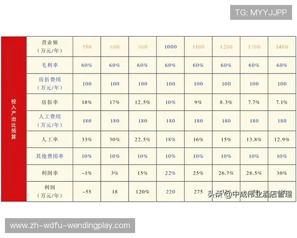 青训投入产出比测算：足球会计在人才培养体系中的量化应用
